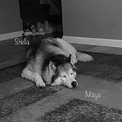 Gretchen Goff-Stahl's photo