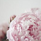 Climentine Dubois's photo