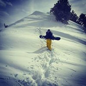 Jordan Katz's photo