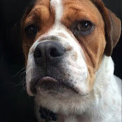 Mike Roberts's photo