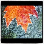 Angela Koutra's photo