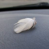 Foto von Eileen Follette