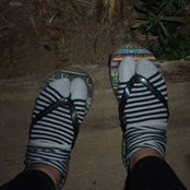 Nora Schnippel's photo