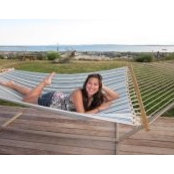 Michele Wan's photo