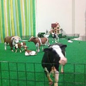Foto von Deddy Dairy Pro