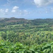 Foto von Tbase Robinson