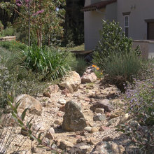 Courtyard - South Walk and Dry Creek