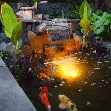 Fish Pond