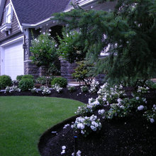 Landscape Ideas