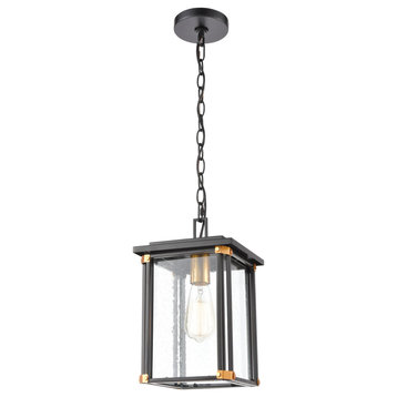 Vincentown 1-Light Hanging, Matte Black With Seedy Glass