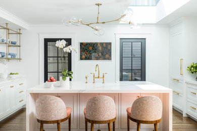 Kitchen - transitional kitchen idea in Boston