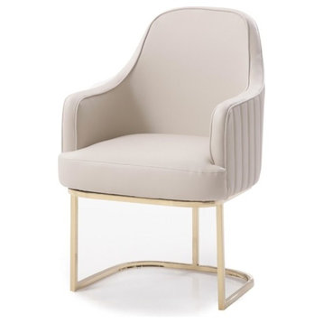 Modrest Tyler Gray and Gold Dining Chair