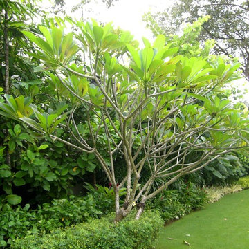 Tanglin Hill