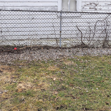 Regina's Dog-Friendly Yard