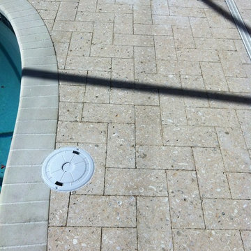Shell Pavers