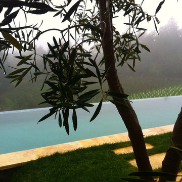 Water in the Garden