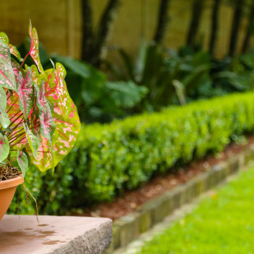 Seasonal Color | Landscape Maintenance