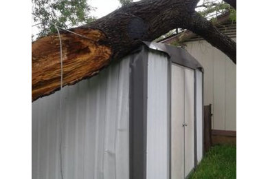 Fallen Tree Removal in Somerset, TX