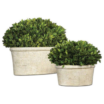 Oval Domes Preserved Boxwood, Set of 2