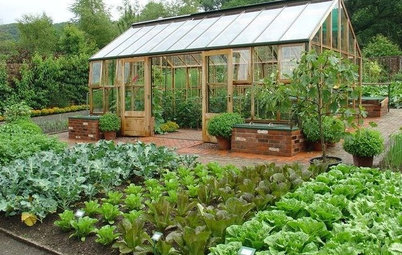 How to Grow an Edible Garden