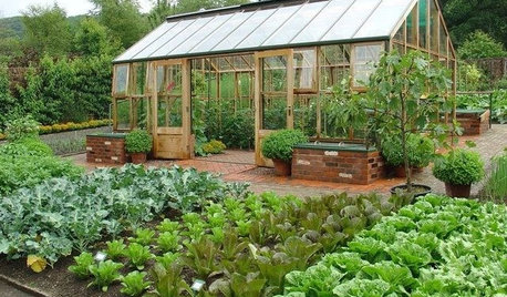How to Grow an Edible Garden