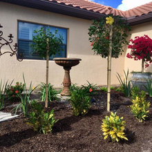 front yard