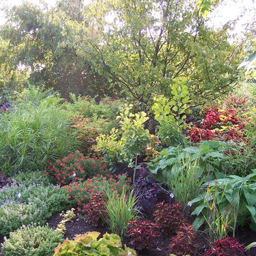 Deer Resistant Garden