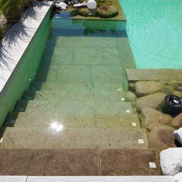 Schaugarten Naturpool