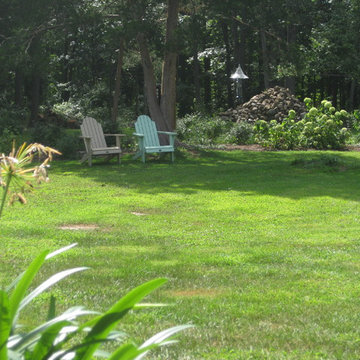 My Garden