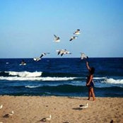 Sidonie Turner's photo