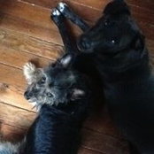 Laurie Barnhill's photo