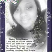 LLove Buggs billede