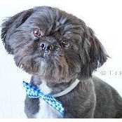 Jean Bruhn's photo
