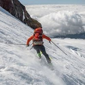 Matthew Bunker's photo