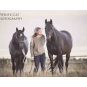 Caroline Gill's photo