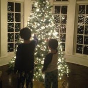 Diana Horton's photo