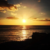 Michael Lo's photo