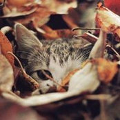 Jill Kirby-Ruffner's photo