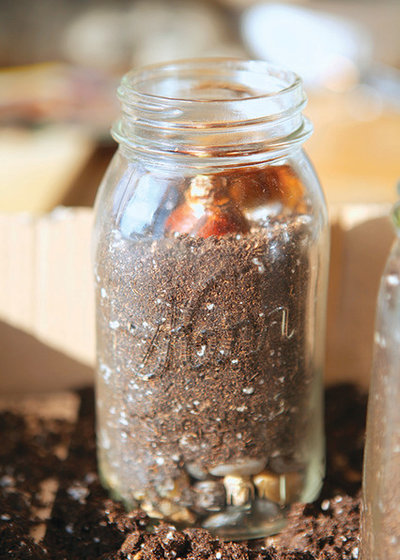 Holiday DIY: 'Garden Made' Forced Bulbs and Gift Tags