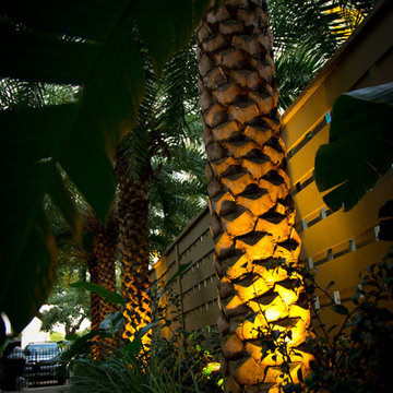 Tropical Bayou St. John Residence