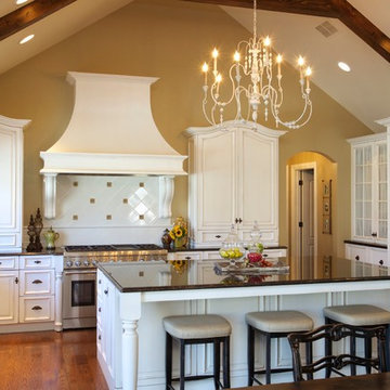 Kitchen Remodeling in Western Springs