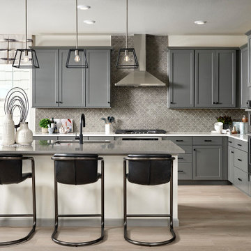 Tri Pointe Homes - Sterling Ranch 3504