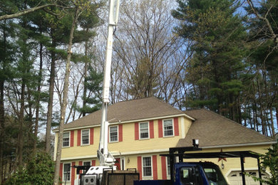 Tree Removal in Acton, Massachusetts