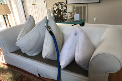 Upholstery Cleaning in Charlotte