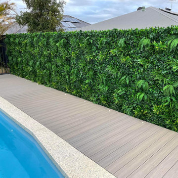 Poolside Privacy Transformation - From Bare Fence to Luxury Green Wall