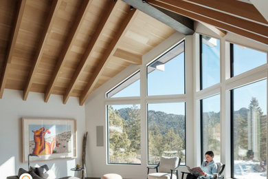 Trendy dark wood floor, brown floor, exposed beam, vaulted ceiling and wood ceiling living room photo in Denver with white walls