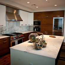 Condo Kitchens