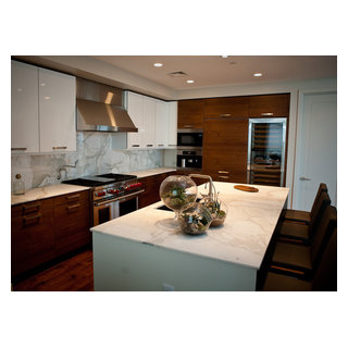 Austin High-Rise Condo 2 | Arete Kitchens - Modern - Kitchen - Austin ...