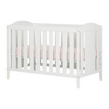 Twin Nursery