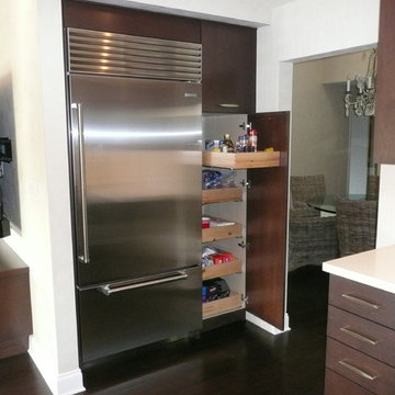 Modern-Unstructured Boca Raton Kitchen